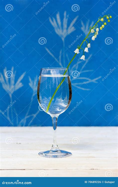 Verre à eau Muguet, transparent 